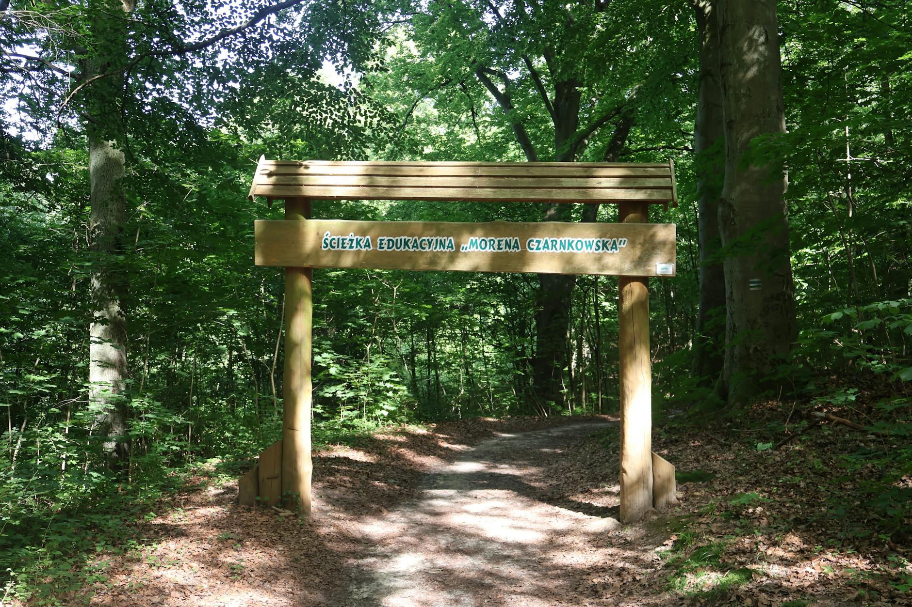 Szpital w Czarnkowie szuka pomocników. Wielka rekrutacja